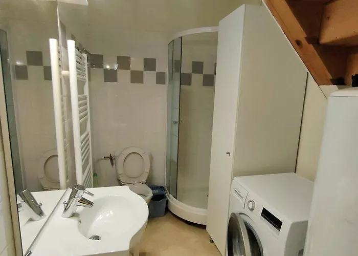 Apartmán T2 Bis Duplex 4/5 Pers, Centre - Fr-1-234-179 Cauterets